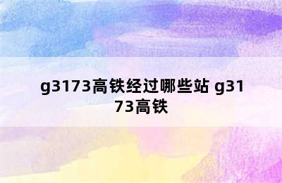 g3173高铁经过哪些站 g3173高铁